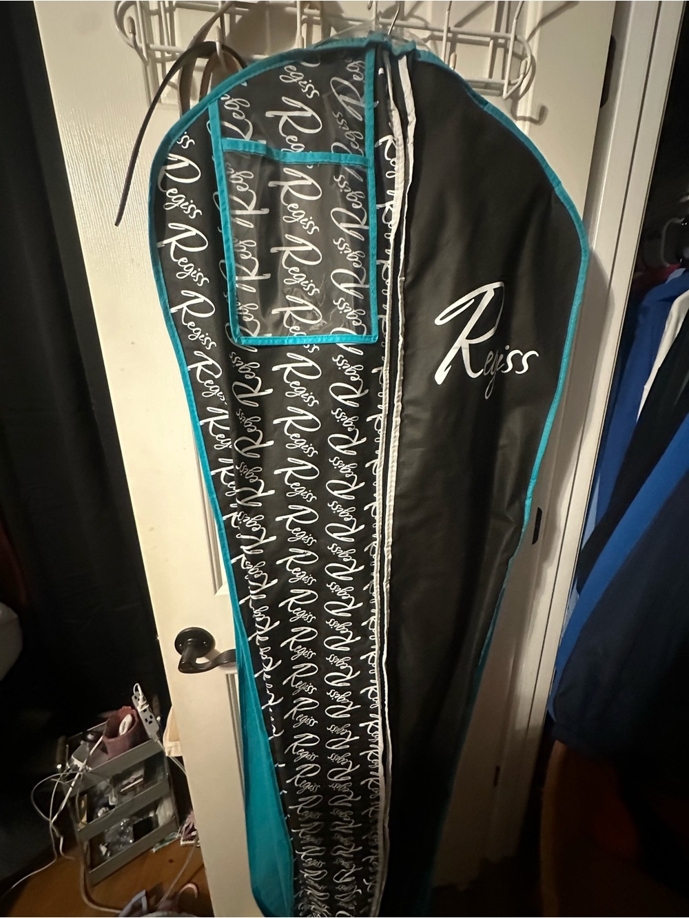 Blue Dress in Black & Teal Garment Bag